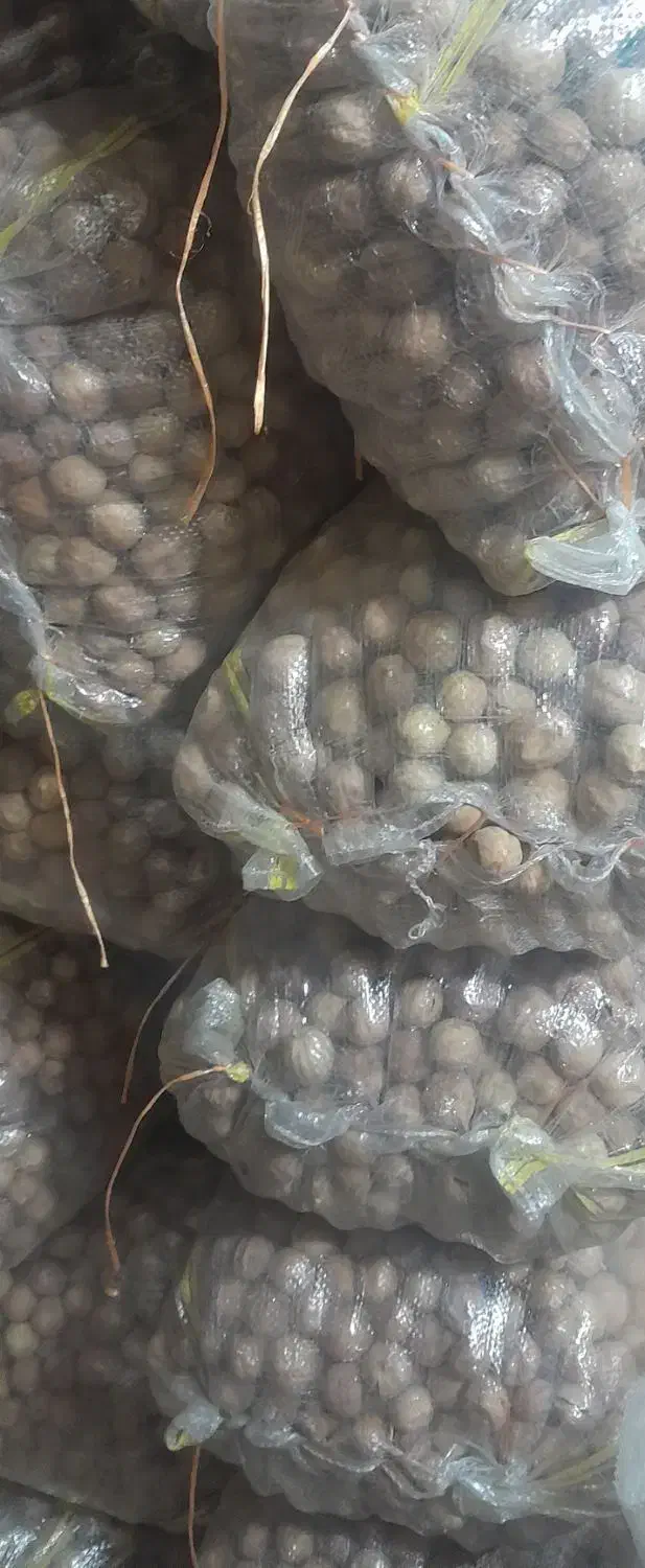 فروش لیمو خشک درجه ۱|عمده‌فروشی|جهرم, |دیوار