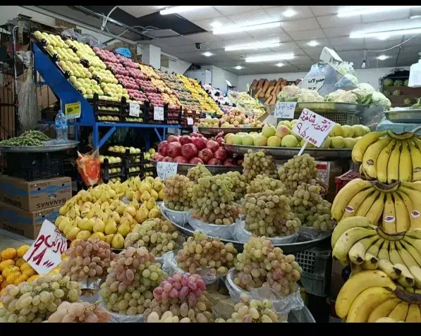 شراکت میکنم برای کار میوه فروشی|فعالیت داوطلبانه|مشهد, هنرور|دیوار
