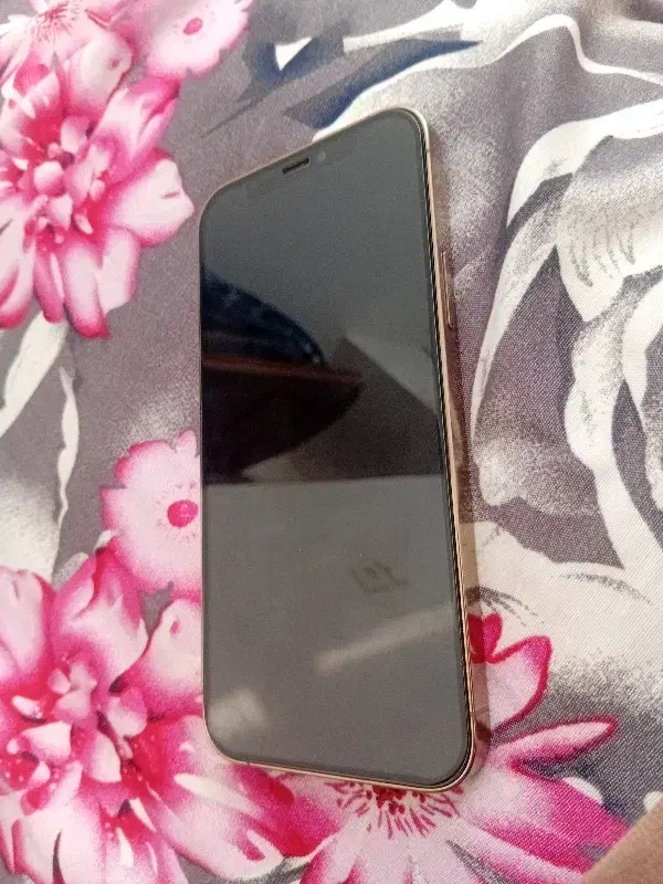 آیفون 12پرو|موبایل|تربت جام, علوی|دیوار