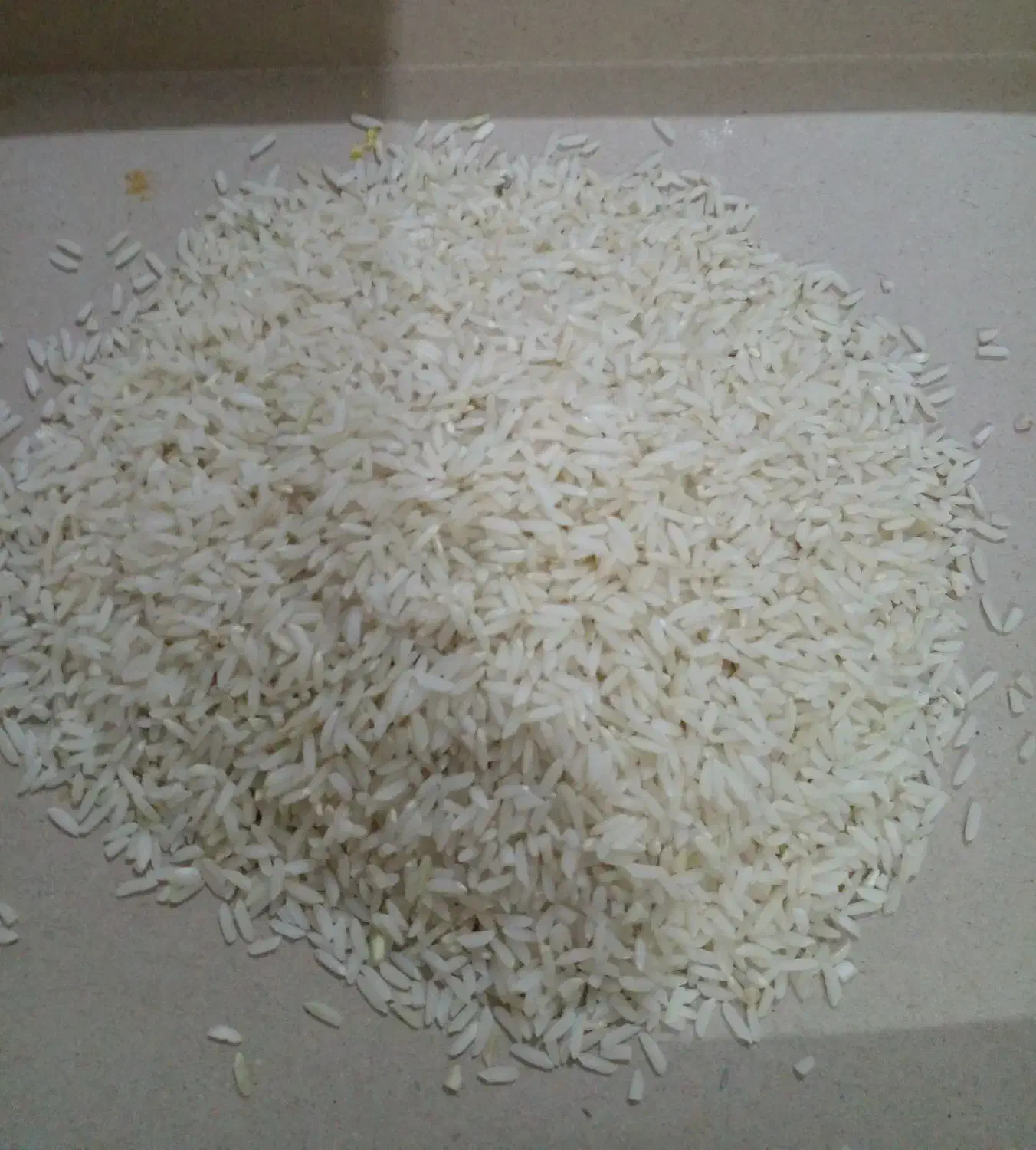 برنج اعلای میانه ،علی کاظمی،|عمده‌فروشی|میانه, |دیوار