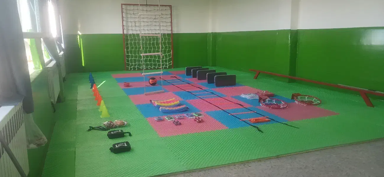 تعویض رویه سایبان و ایمن سازی سالن‌های ورزشی|خدمات پیشه و مهارت|نقده, |دیوار