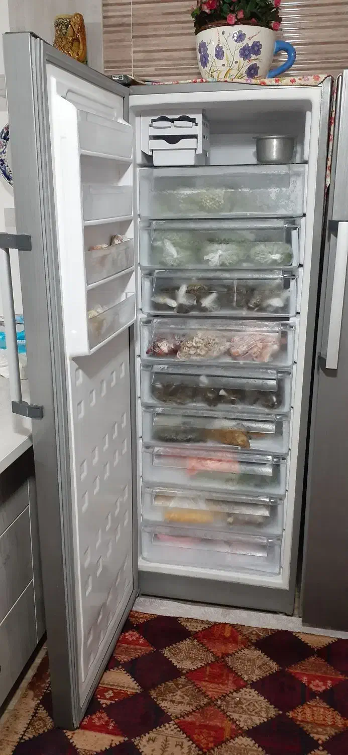 یخچال و فریزر الکتروجنرال|یخچال و فریزر|رودبنه, |دیوار