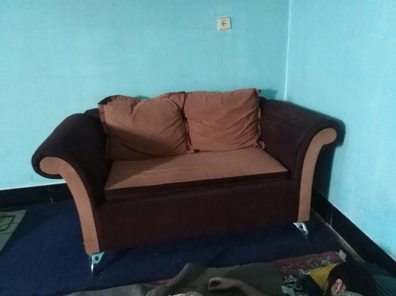 فرش و مبلمان|فرش|بوشهر, |دیوار