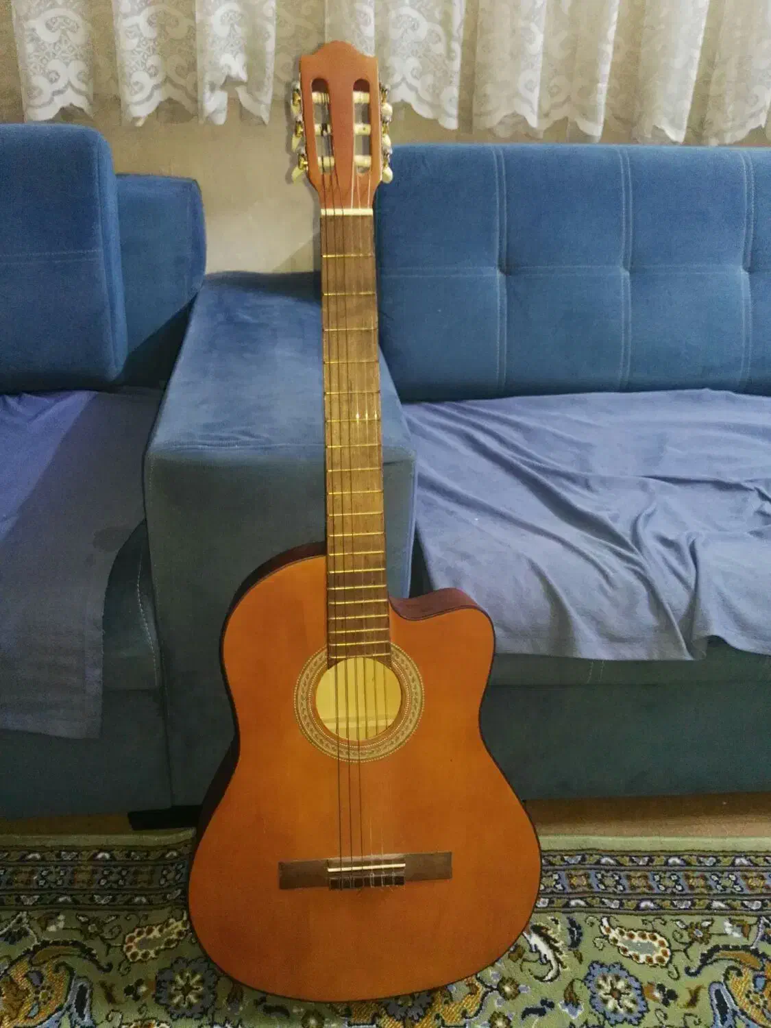 گیتار  ایرانی|گیتار، بیس، امپلیفایر|بوشهر, |دیوار