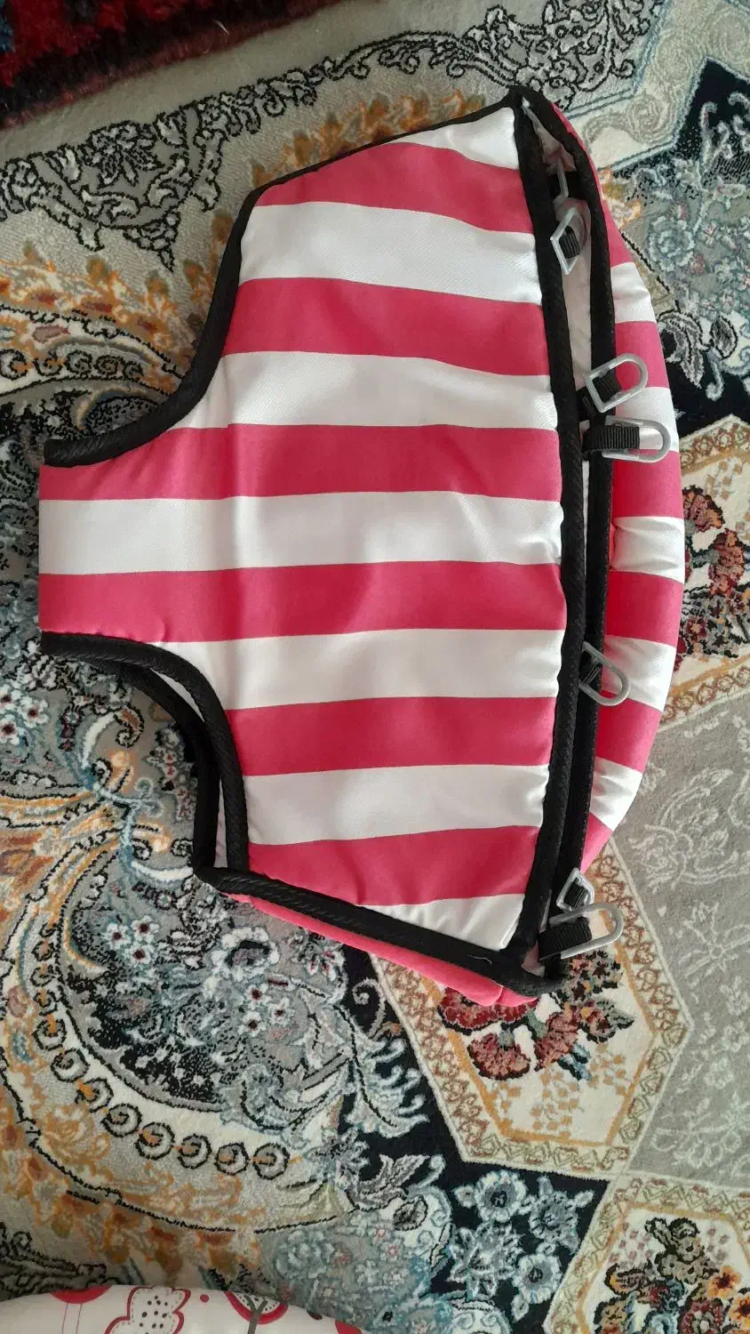 زین روروئک نو|کالسکه و لوازم جانبی|ابهر, |دیوار