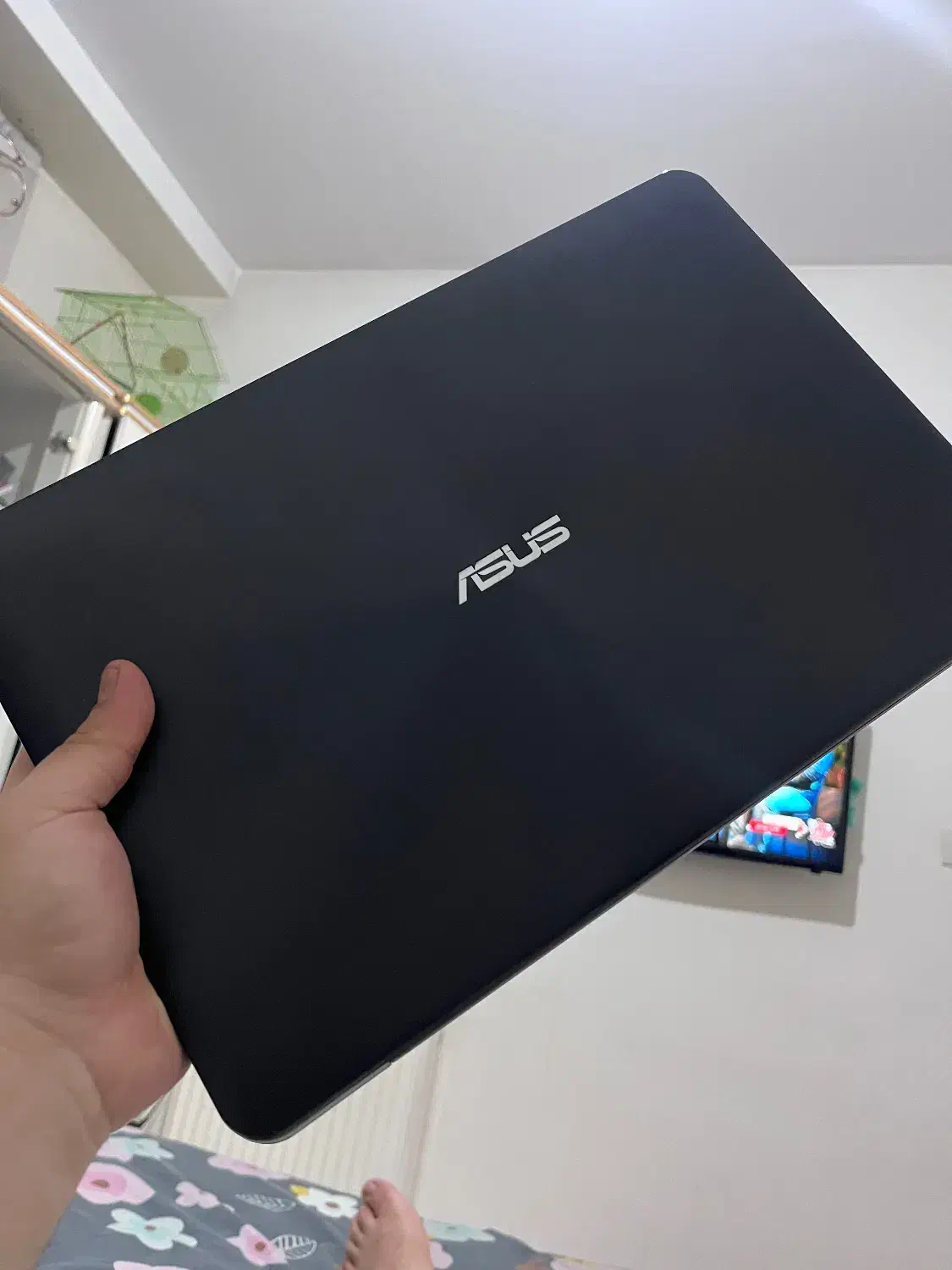 لب‌تاب Asus|رایانه همراه|فردیس, شهرک ارم|دیوار