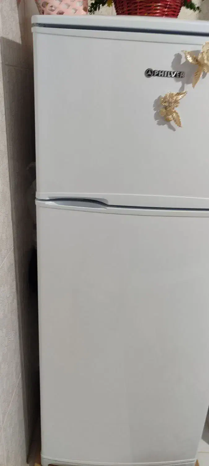 یخچال|یخچال و فریزر|سربیشه, |دیوار