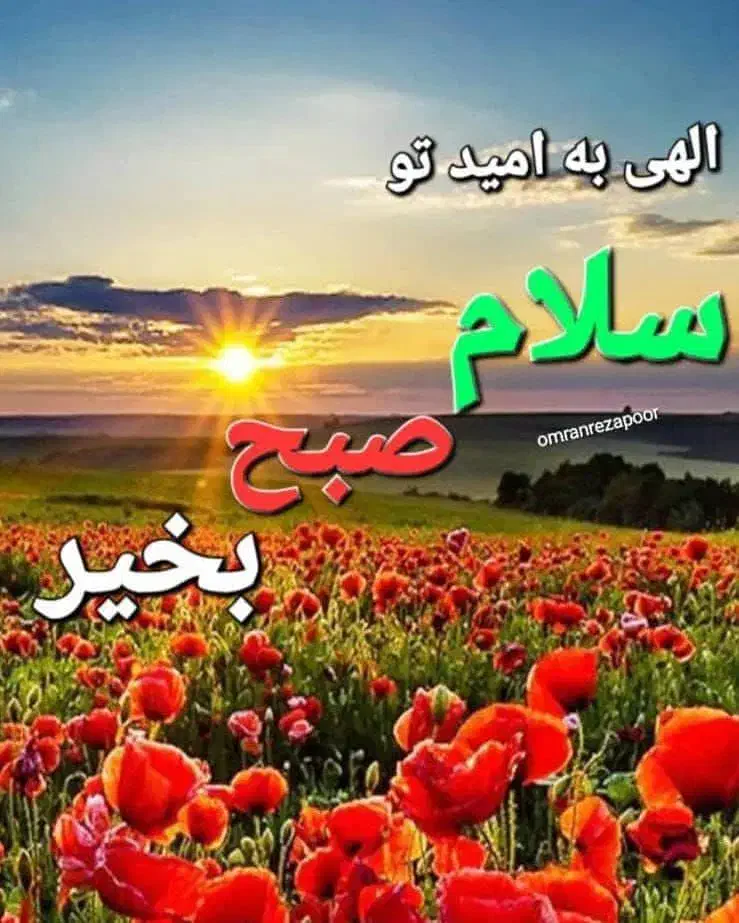 استخدام پرسنل هایپر مارکت|استخدام خدمات فروشگاه و رستوران|شیراز, شهرک امیر کبیر|دیوار