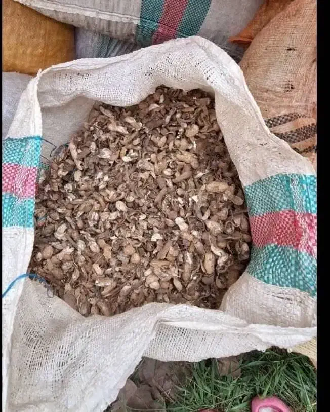 پوست بادام زمینی|عمده‌فروشی|آستانه اشرفیه, |دیوار