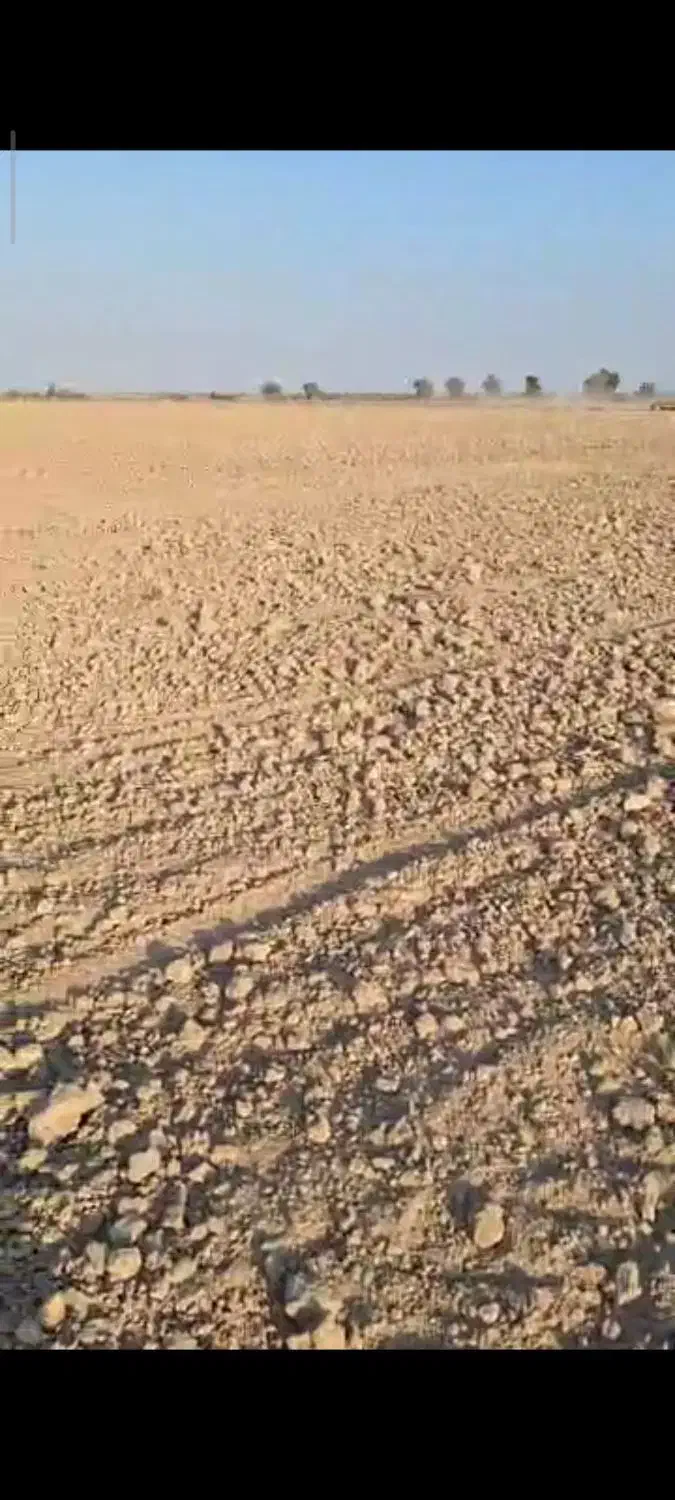 اجاره هفتاد هکتار زمین کشاورزی با آب و پمپ برقی|اجارهٔ دفتر صنعتی، کشاورزی، تجاری|رودبار (کرمان), |دیوار