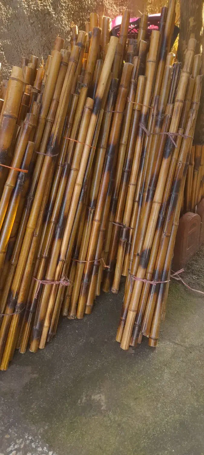 نی خیزران|گل و گیاه طبیعی|محلات, |دیوار