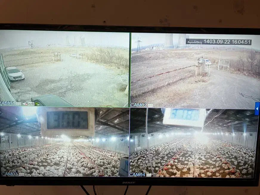 مرغداری ۳۰ هزار قطعه|فروش دفتر صنعتی، کشاورزی، تجاری|اردبیل, |دیوار