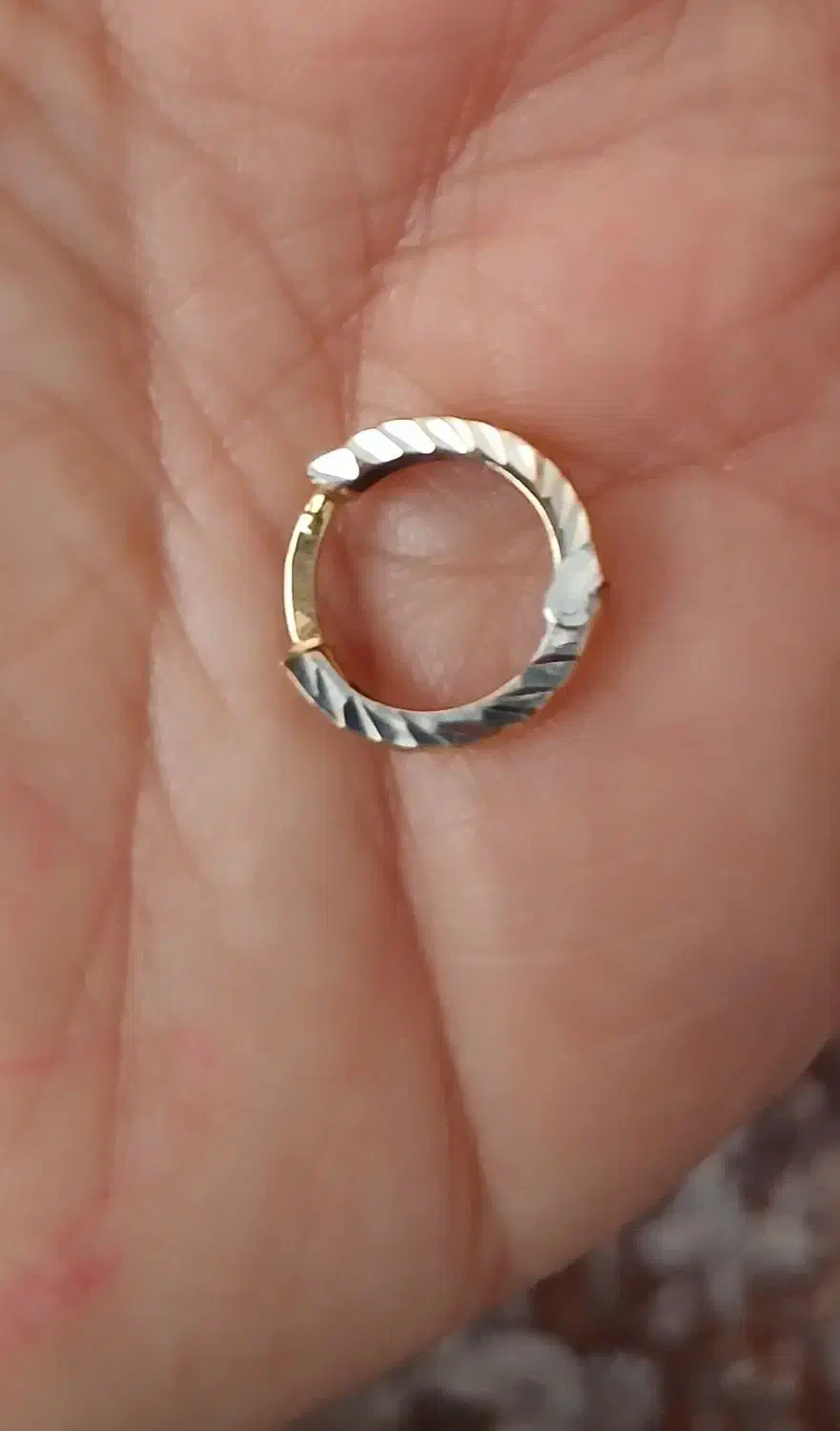 گمشده|اشیا|فردیس, فردیس|دیوار