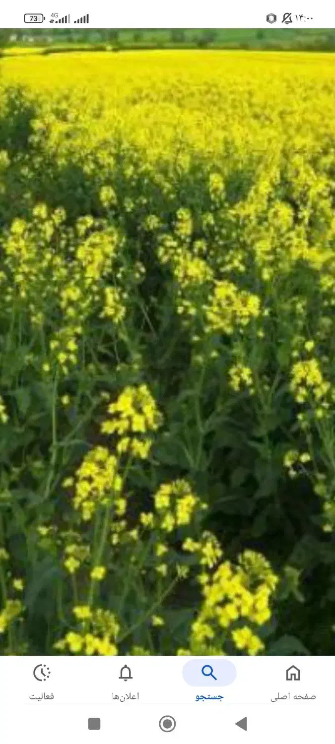 اجاره زمین کشاورزی|فروش دفتر صنعتی، کشاورزی، تجاری|سیمین شهر, |دیوار