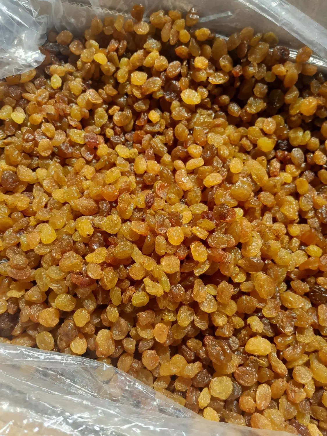 کشمش پلویی|خوردنی و آشامیدنی|ملایر, |دیوار