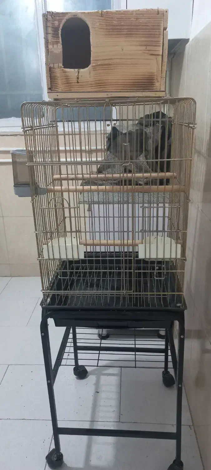یک عدد قفس ضخیم و پایه|لوازم جانبی حیوانات|ورامین, خیر آباد|دیوار