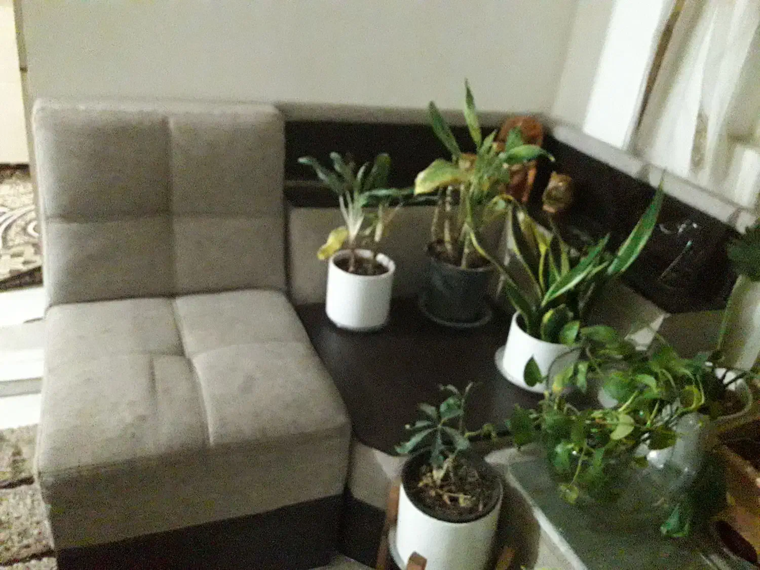 مبل ال کاملا سالم فقط نیاز به شستشو داره|مبلمان خانگی و میز عسلی|سمنان, |دیوار