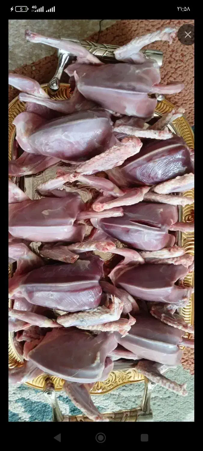 گوشت|خوردنی و آشامیدنی|بافق, |دیوار