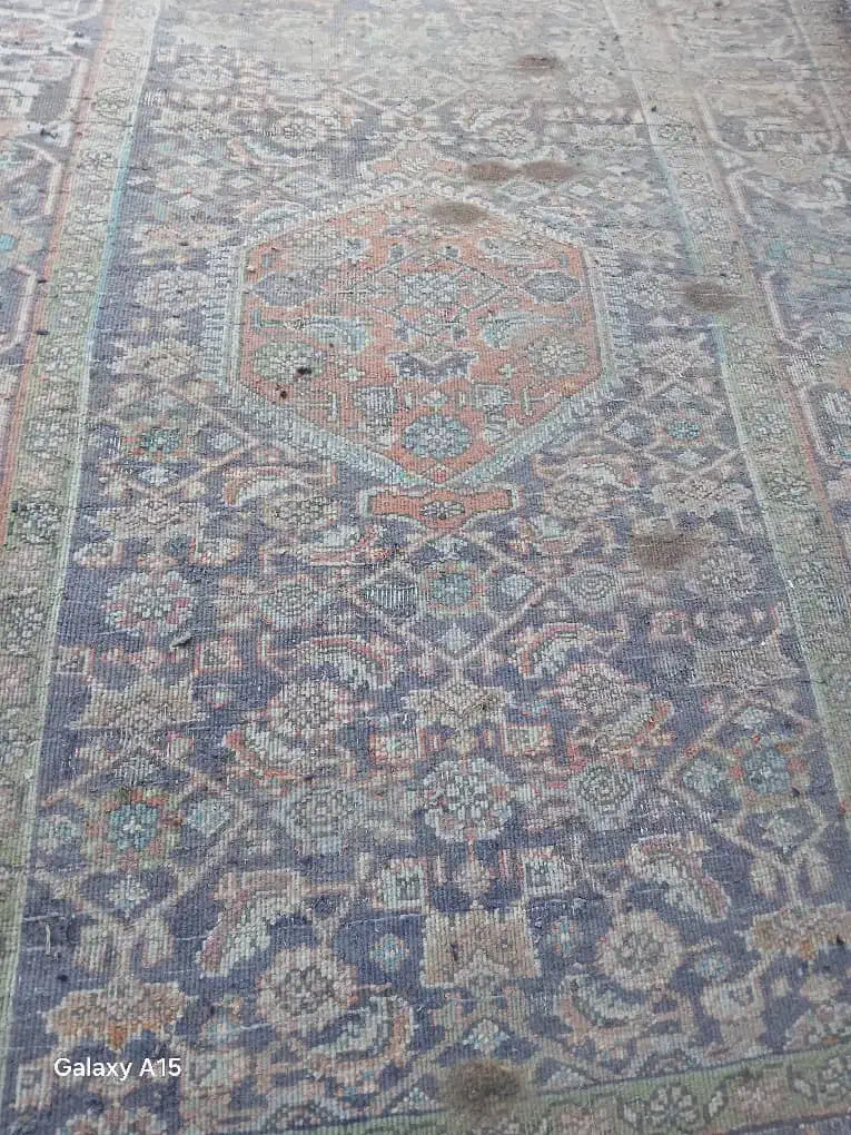 فرش دست بافط|فرش|کومله, |دیوار