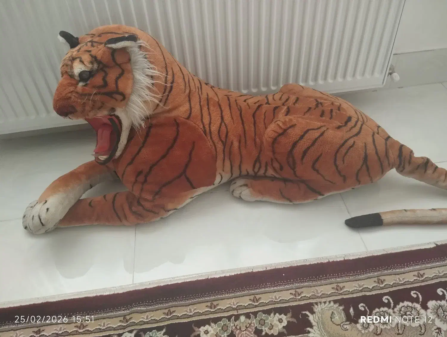 ببر|اسباب‌‌بازی|میاندوآب, |دیوار