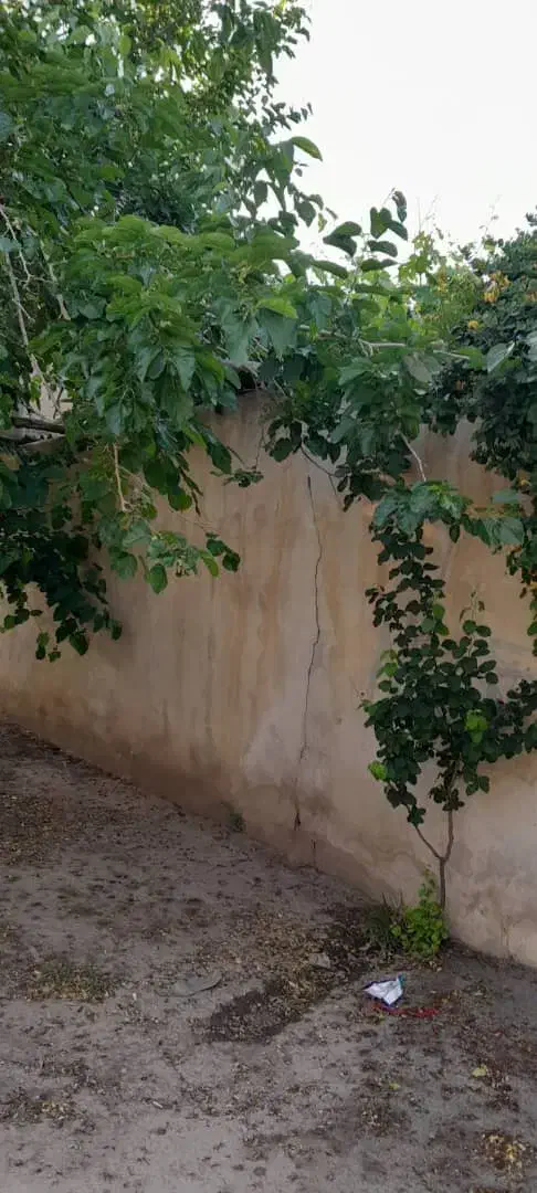 فروش ۲ باغ دستجرد خلجستان|فروش دفتر صنعتی، کشاورزی، تجاری|خلجستان, |دیوار