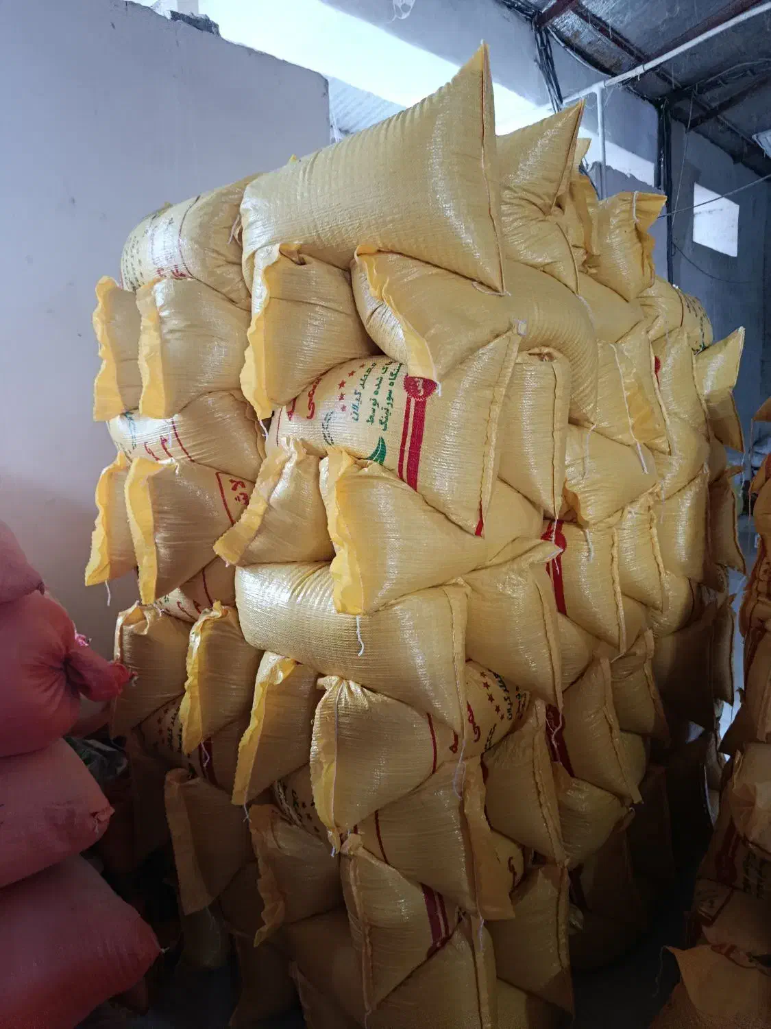 سر لاشه هاشمی کشاورزی اعلا|عمدهفروشی|تالش, جوکندان|دیوار