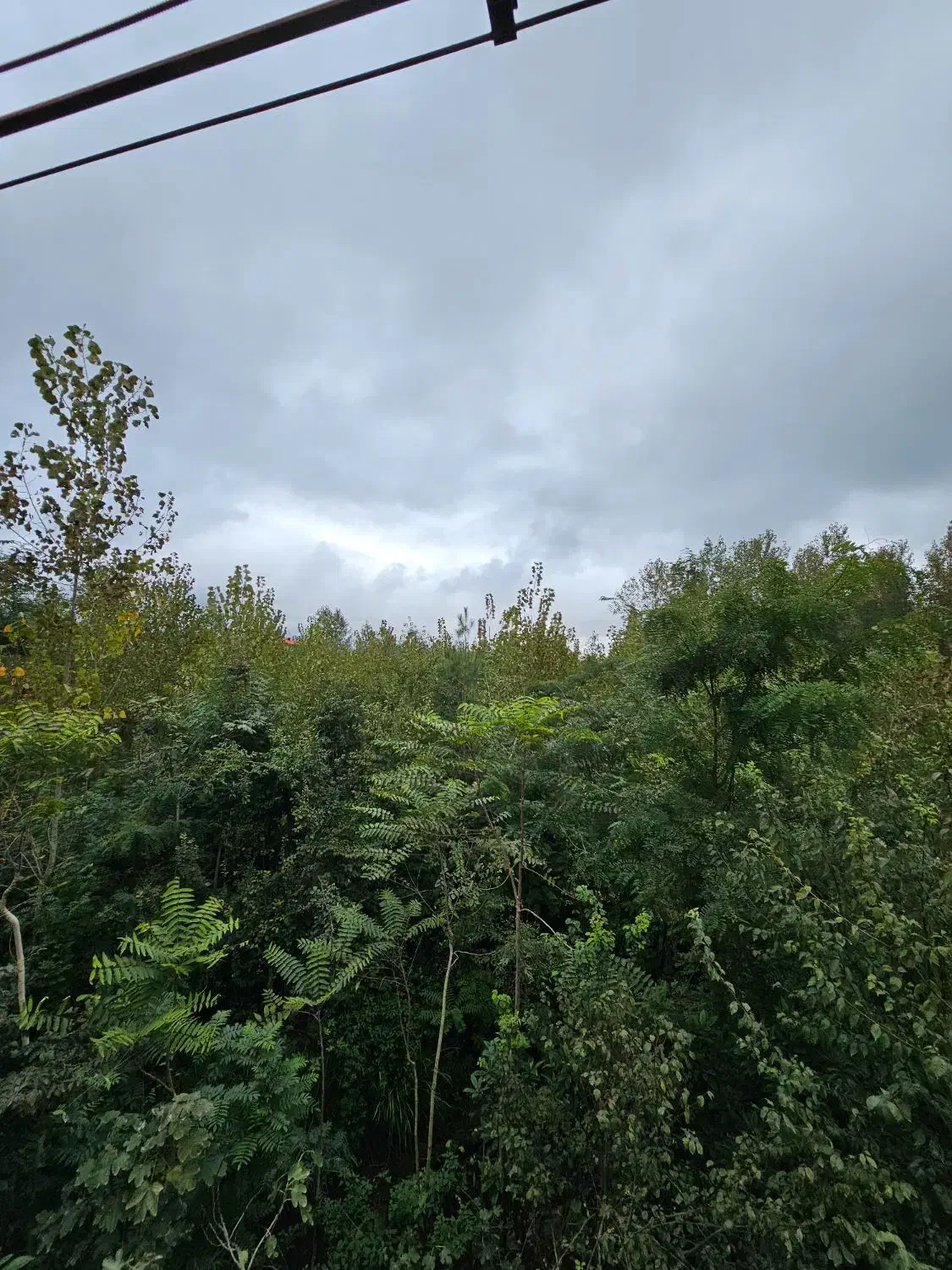 فروش ویلای ویودار/مناسب تفریح/ تاکسی خور|فروش خانه و ویلا|تالش, هشتپر|دیوار