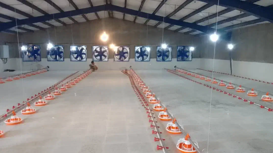 مرغداری گوشتی تمام اتوماتیک|استخدام صنعتی، فنی، مهندسی|تیکمه داش, |دیوار