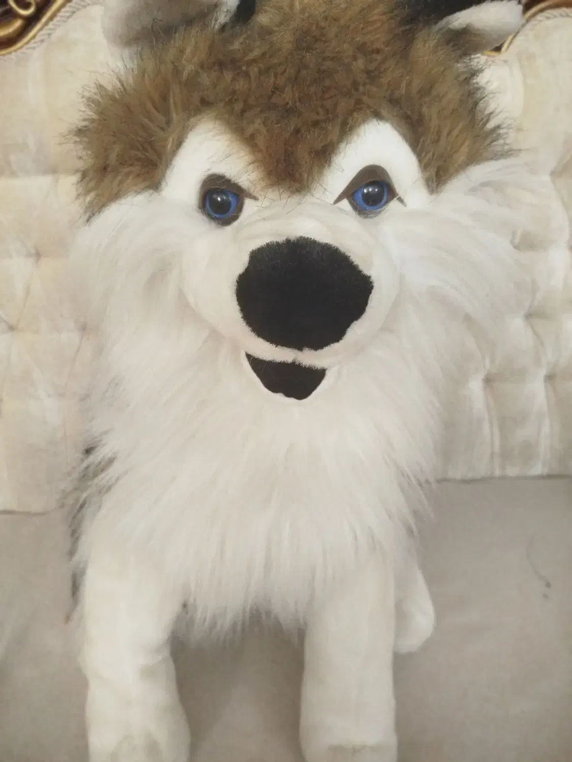 عروسک|اسباببازی بچه|تبریز, |دیوار