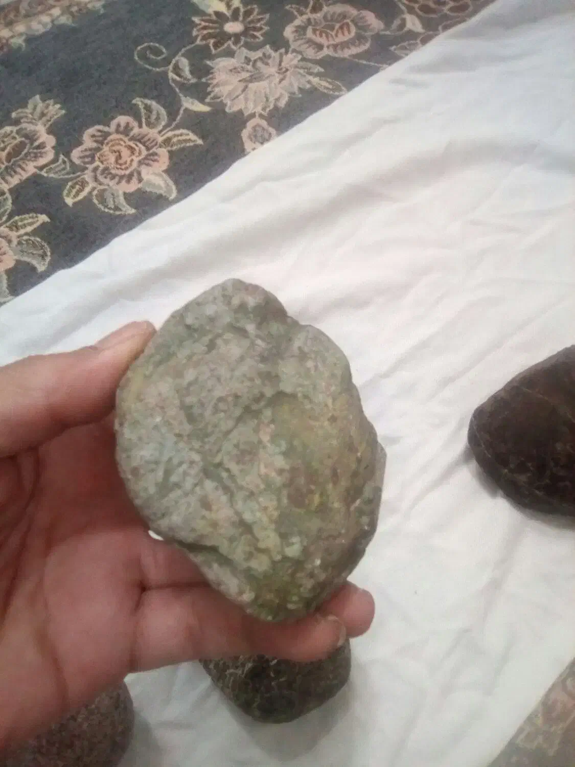 برای فروش شهاب سنگ ۵عدد|کلکسیون اشیاء عتیقه|زاوه, |دیوار