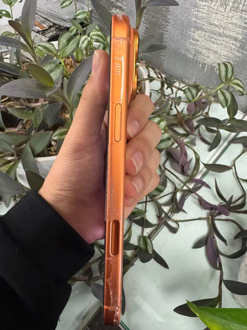 IPHONE 17PROMAX|موبایل|ارومیه, |دیوار