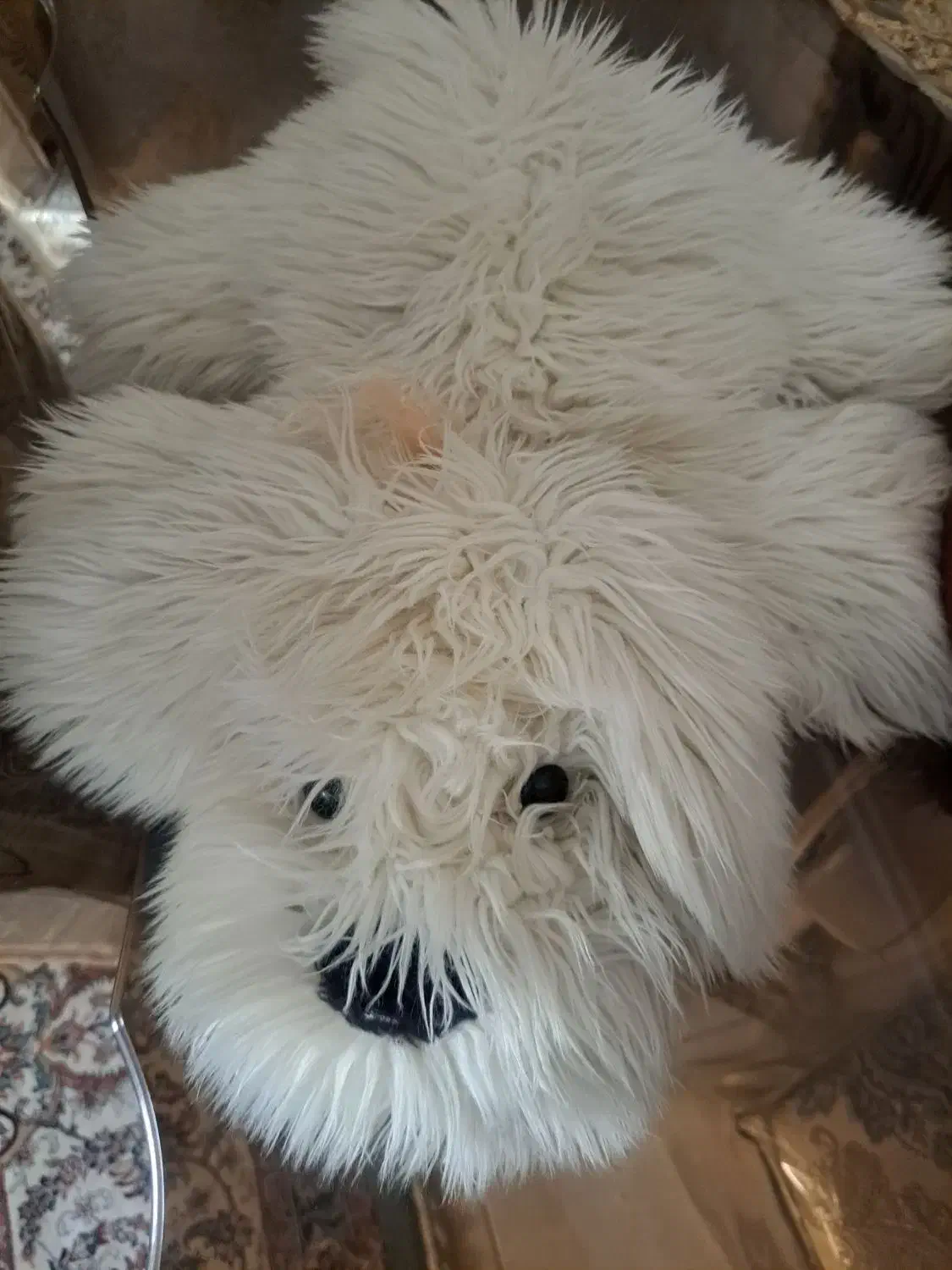 سگ پولیشی|اسباب‌‌بازی|تهران, وحیدیه|دیوار