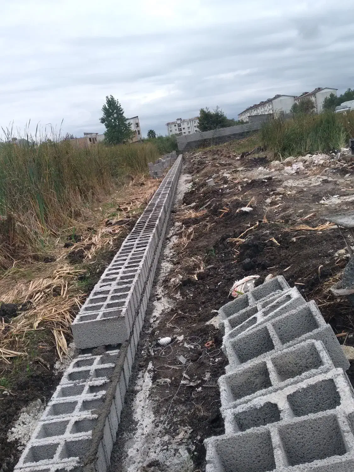 کاشی سرامیک|خدمات پیشه و مهارت|رشت, کوی طالقانی|دیوار