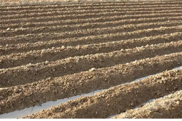 ۳۴ هکتار زمین کشاورزی|فروش دفتر صنعتی، کشاورزی، تجاری|خنداب, |دیوار