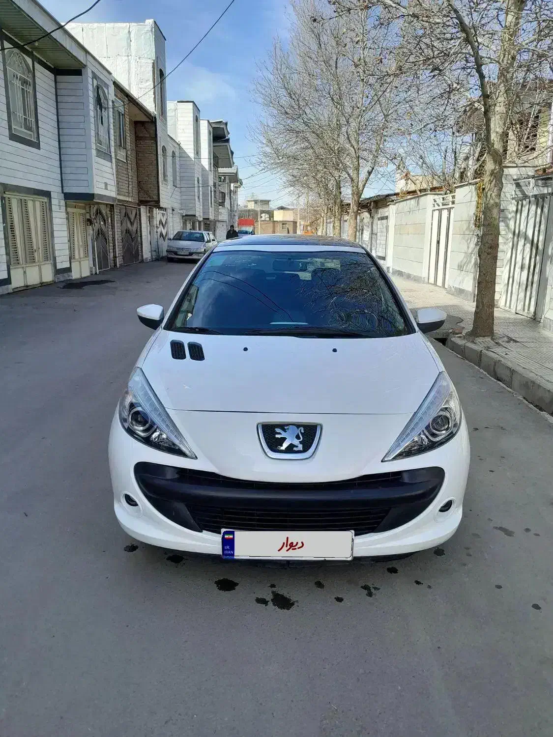 ۲۰۷ پانا بدون رنگ کم کار|خودرو سواری و وانت|بروجرد, |دیوار