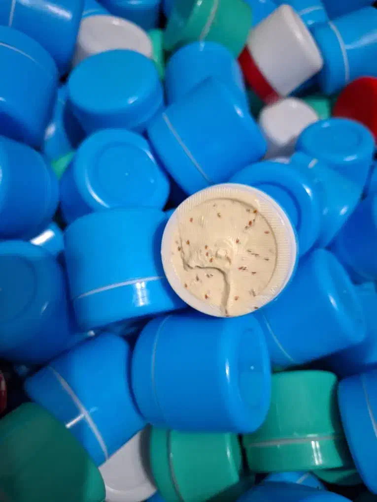 vip|آرایشی، بهداشتی، درمانی|بندرعباس, |دیوار