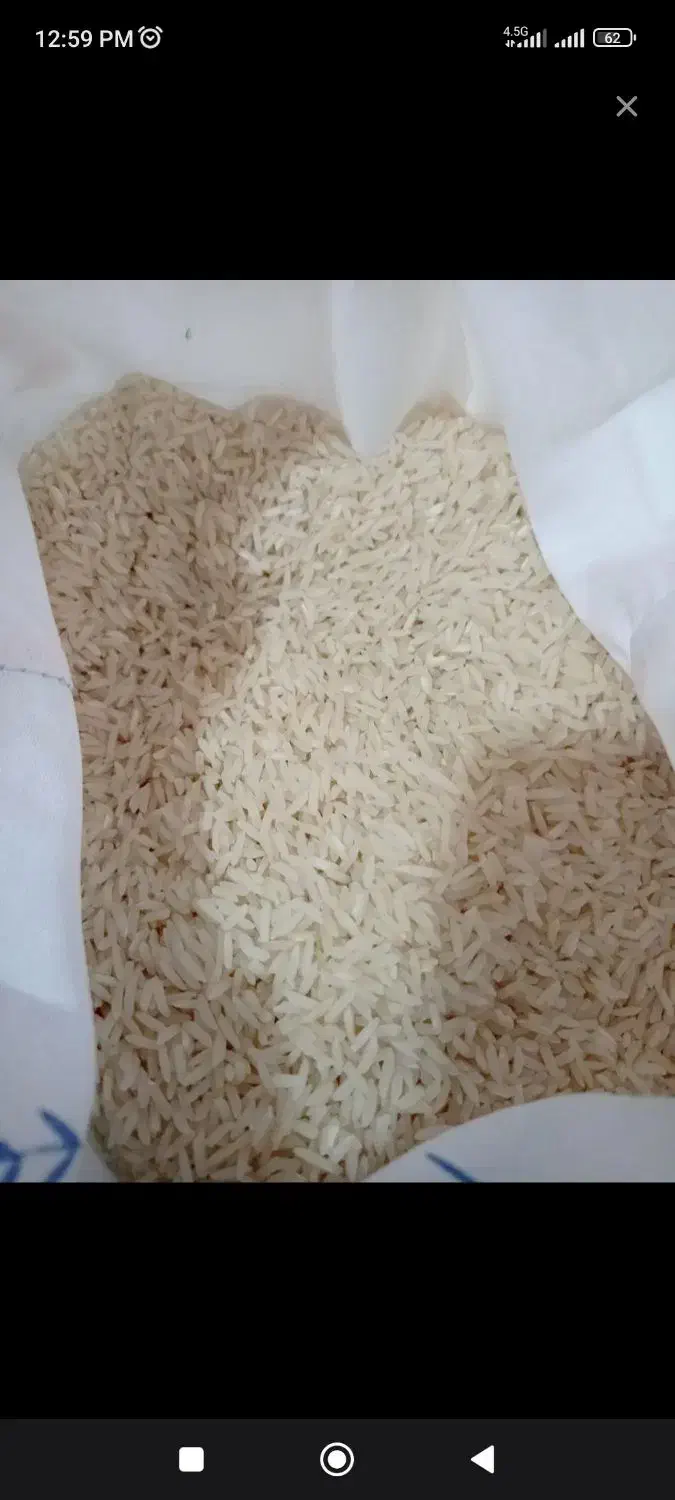 برنج هاشمی اعلا|خوردنی و آشامیدنی|کرج, چمران|دیوار