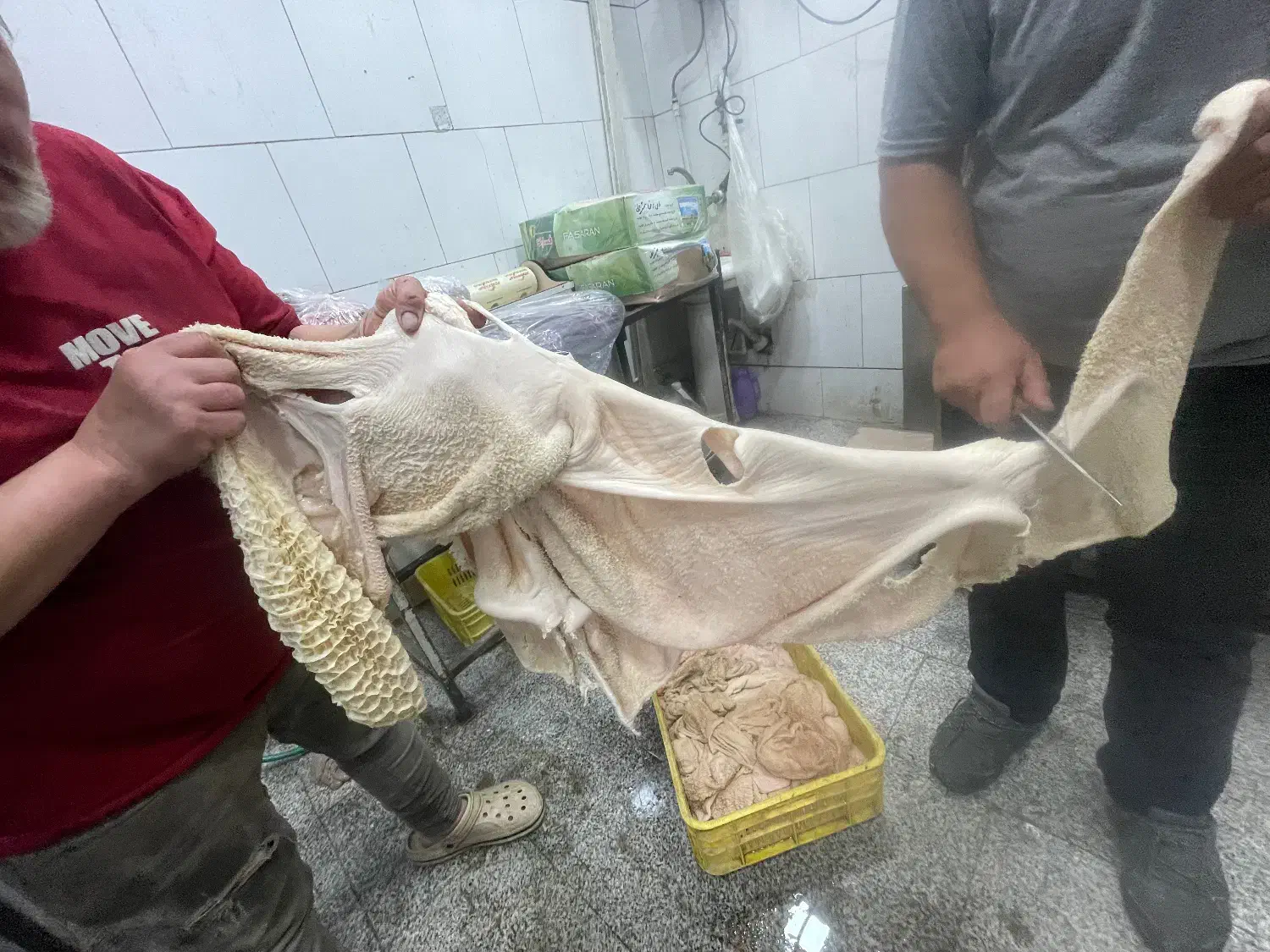 سیراب اعلا|خوردنی و آشامیدنی|اصفهان, سرتاوه|دیوار