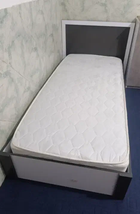 تخت نوجوان ام دی اف|تخت و سرویس خواب|سیرجان, |دیوار