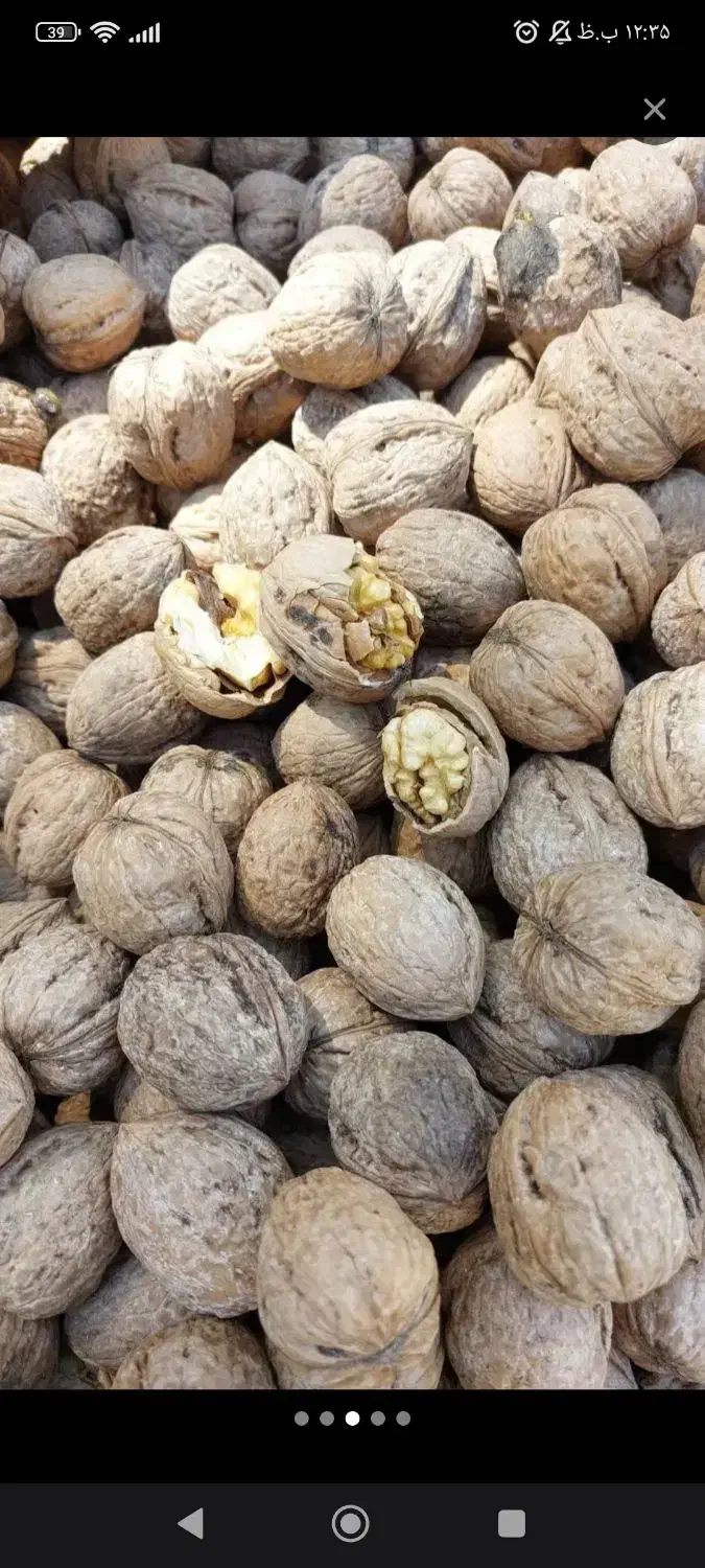 گردوی مغز سفید|خوردنی و آشامیدنی|تهران, وحیدیه|دیوار