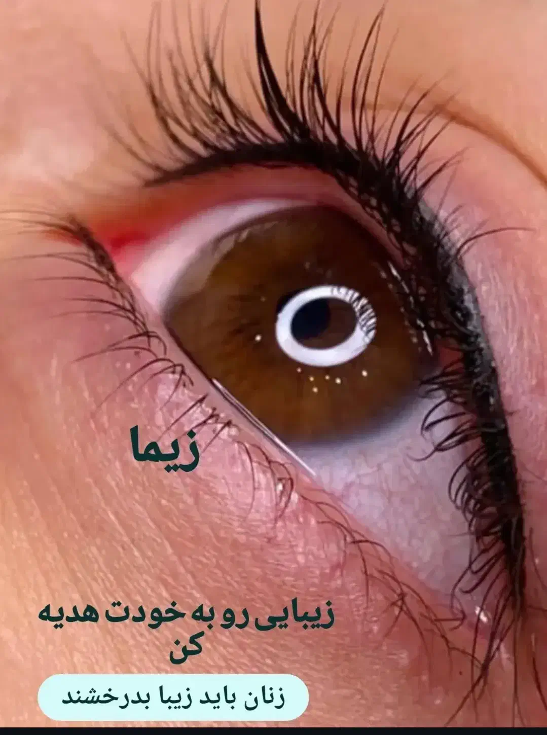 آرایش دائم|آرایشگاه و سالن‌های زیبایی|خلخال, |دیوار