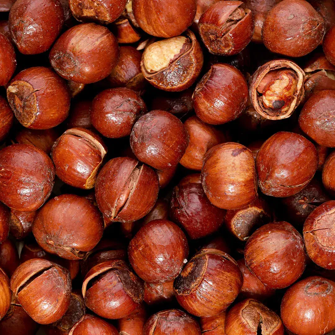 بادام شکنی، فندق شکنی، پسته و گردوشکنی با دستگاه|خدمات باغبانی و درختکاری|آذرشهر, |دیوار