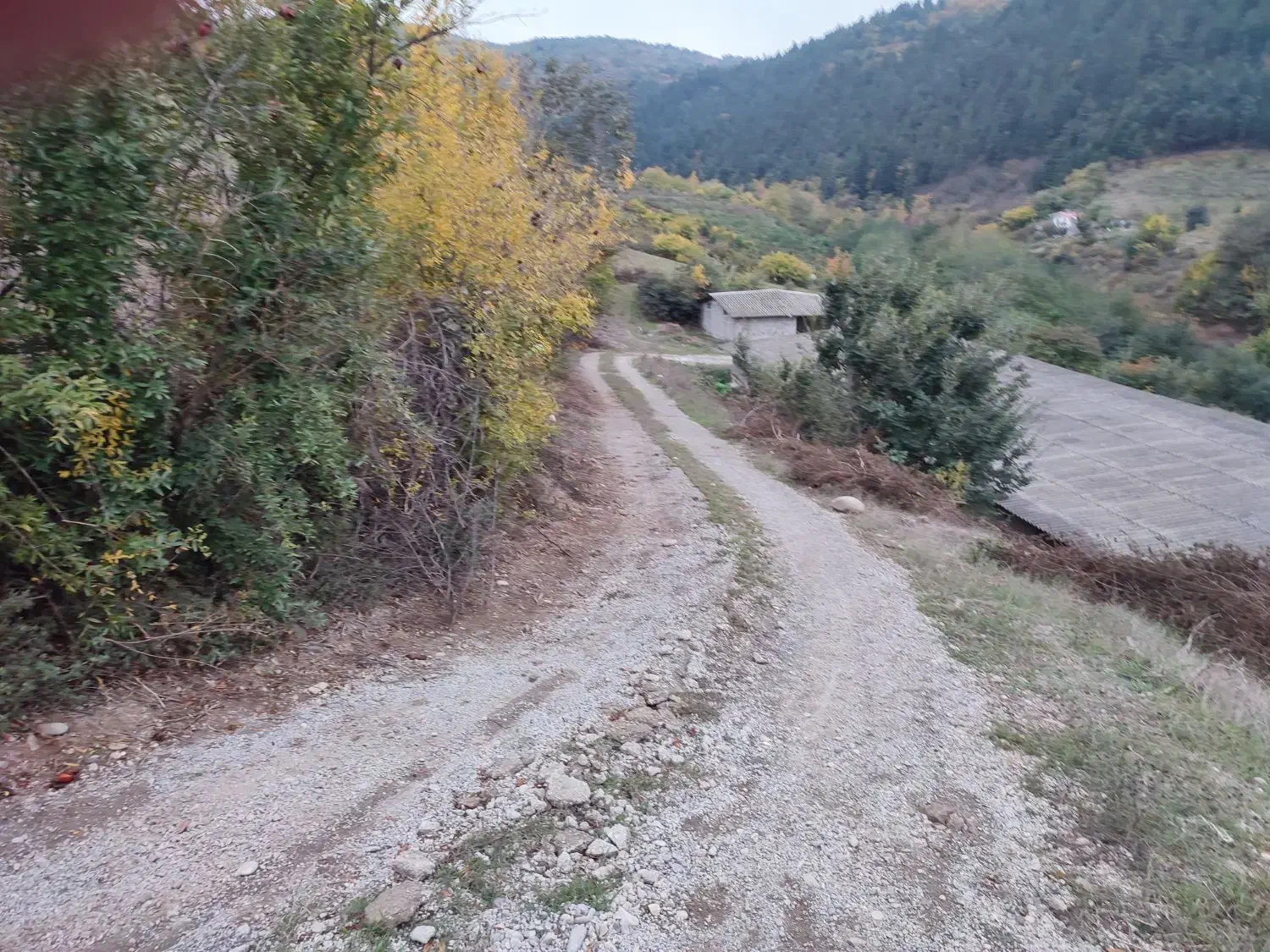 جذب کار آفرین در زمینه کشاورزی و دام وطیور|استخدام صنعتی، فنی، مهندسی|توتکابن, |دیوار