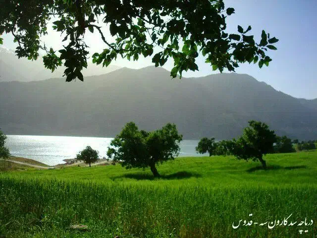 مربی فوتبال بانوان|استخدام آموزشی|تهران, قیام|دیوار