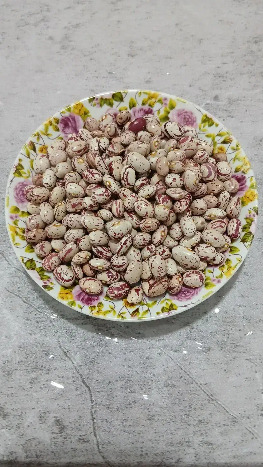 لوبیا چیتی درجه یک|عمده‌فروشی|رشت, یخسازی|دیوار