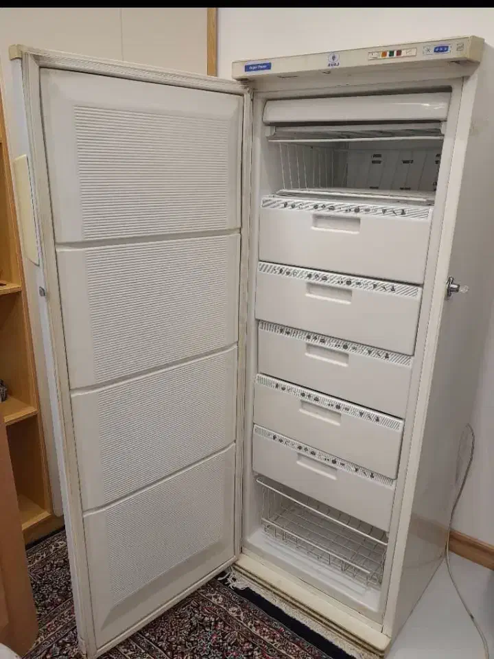 فریزر|یخچال و فریزر|شیراز, فرهنگ شهر|دیوار