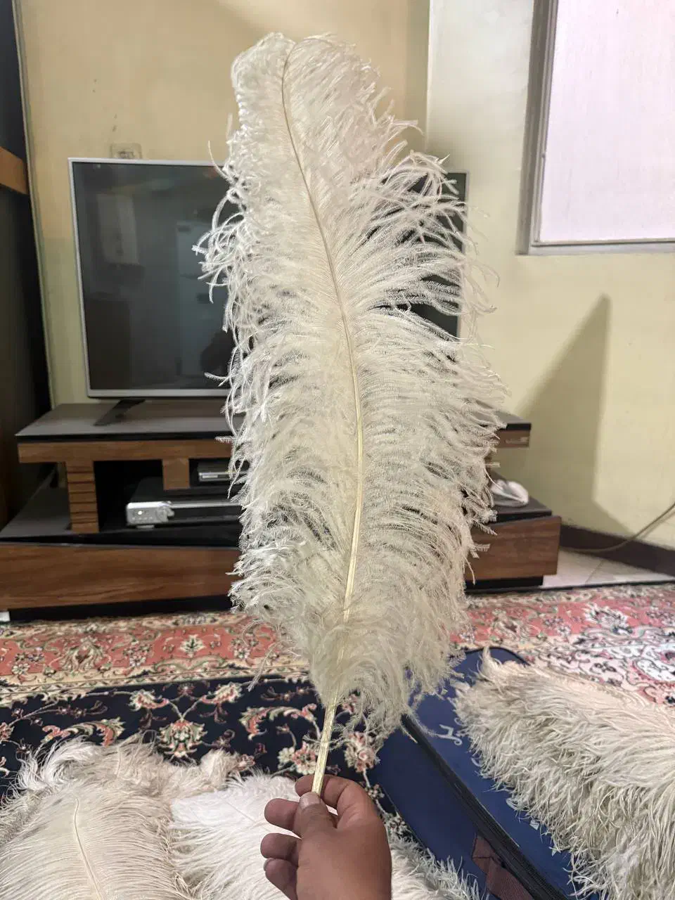 لوازم علامت|کلکسیون اشیاء عتیقه|تهران, امیریه|دیوار