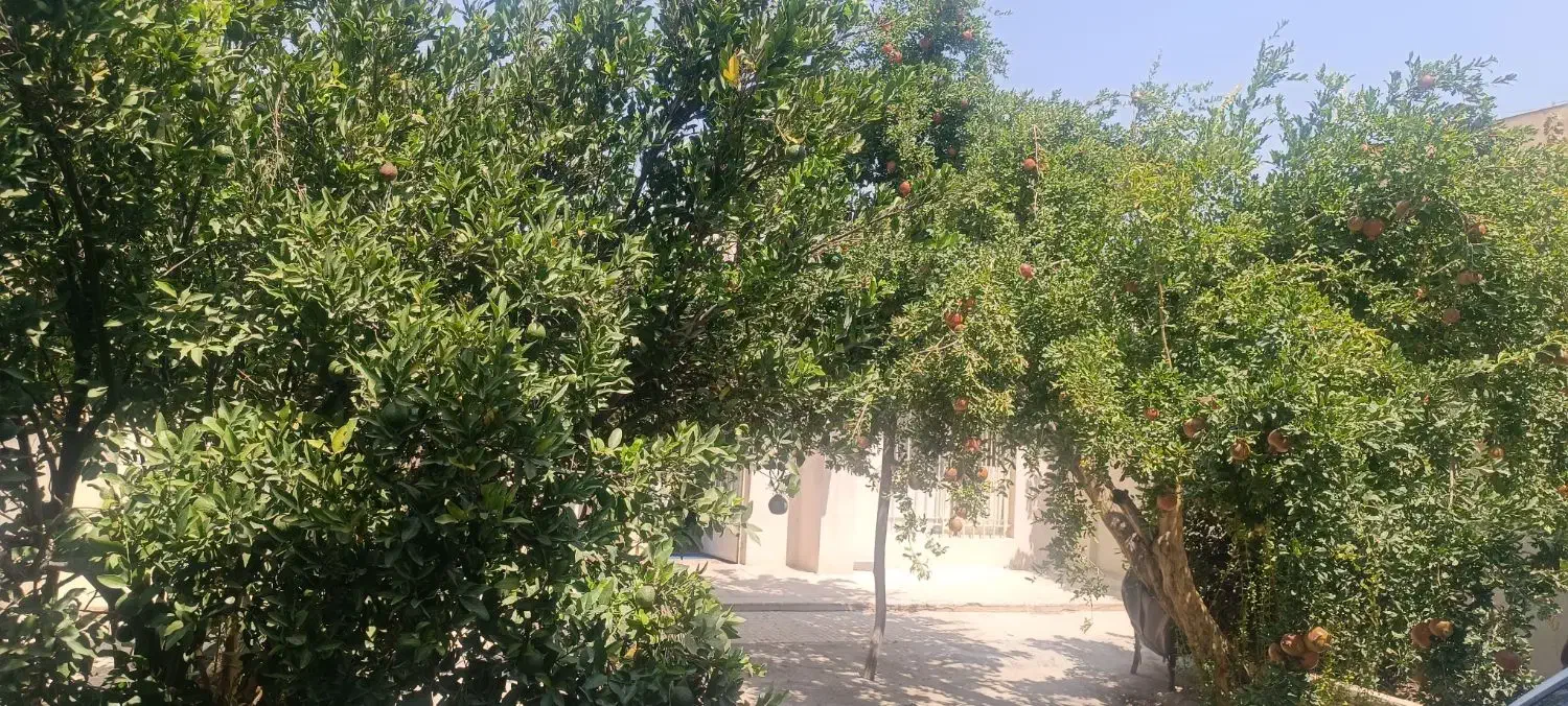 اجاره منزل ویلایی|اجارهٔ کوتاه‌مدت ویلا و باغ|شیراز, پشم شیشه|دیوار