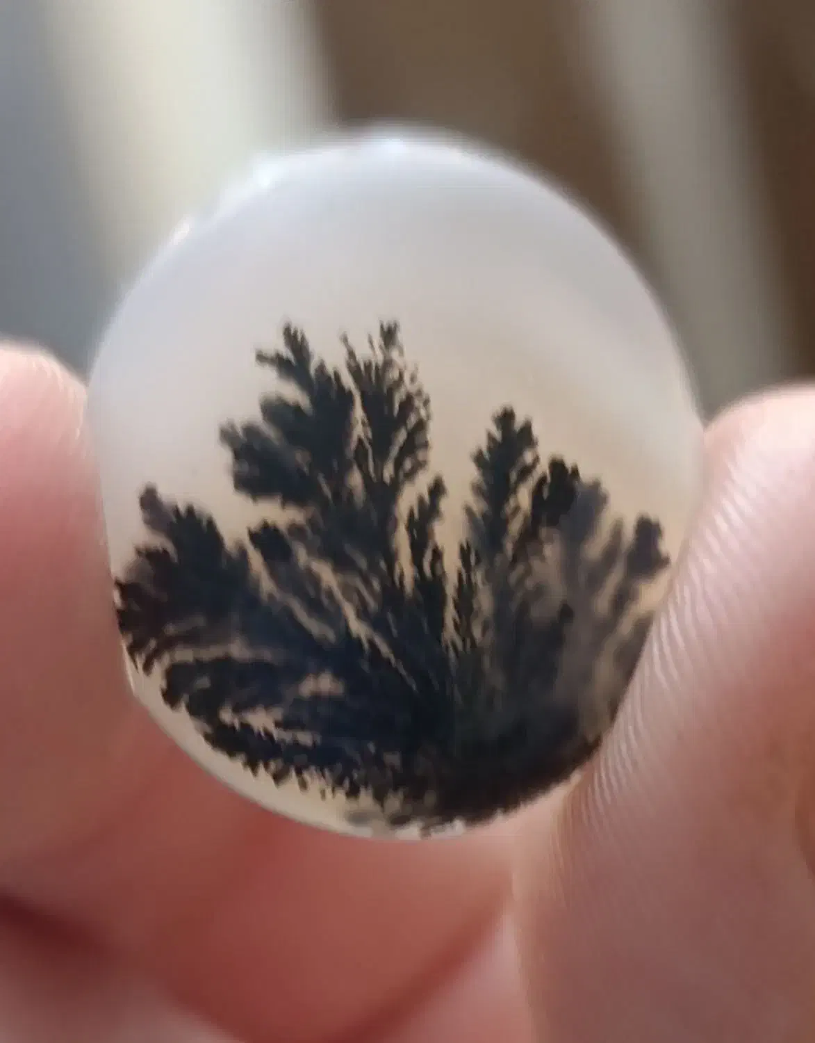 سنگ شجر طبیعی|کلکسیون اشیاء عتیقه|کرمانشاه, |دیوار