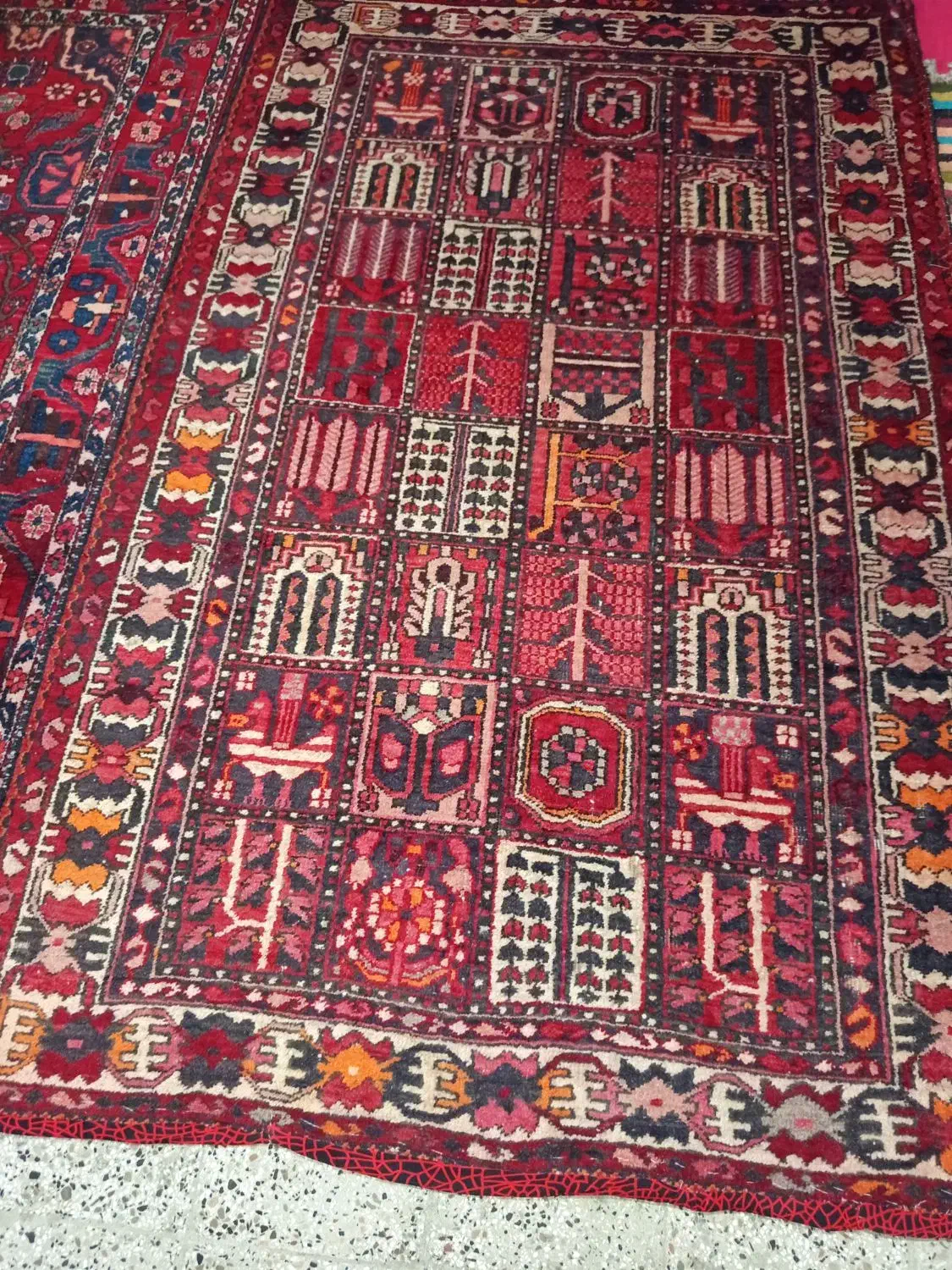 فروش فرش دستباف|فرش|دزفول, |دیوار